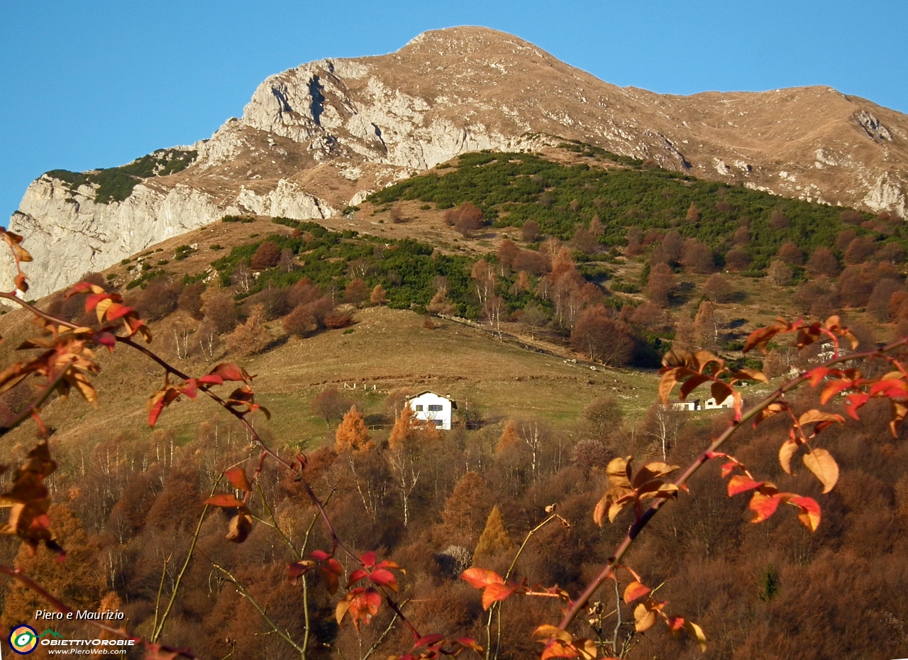02 Colori d'autunno inoltrato .JPG